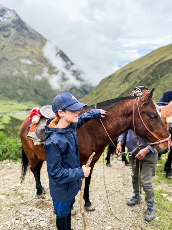 boy with mule at Humantay Lake