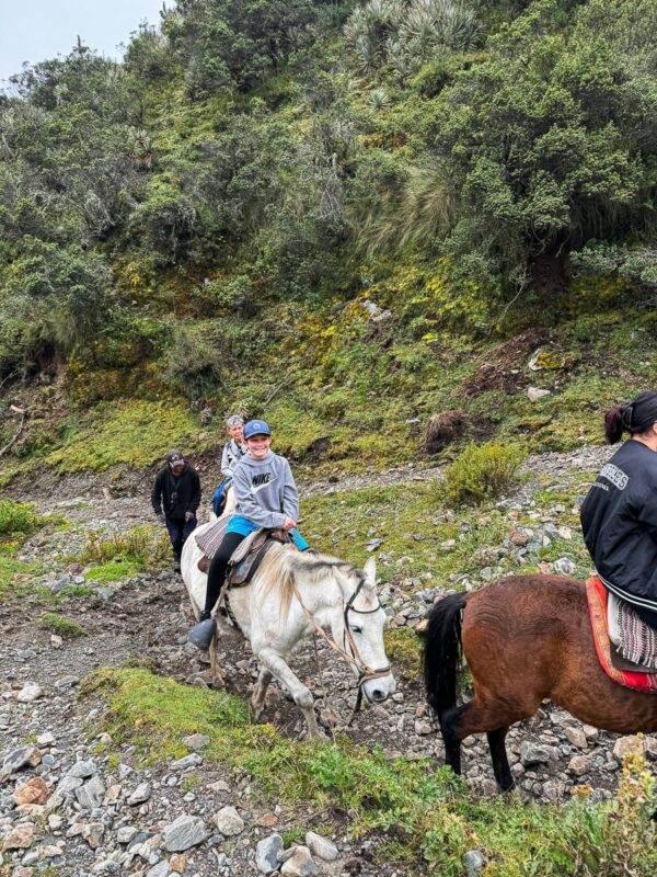 riding a mule to Humantay Lake